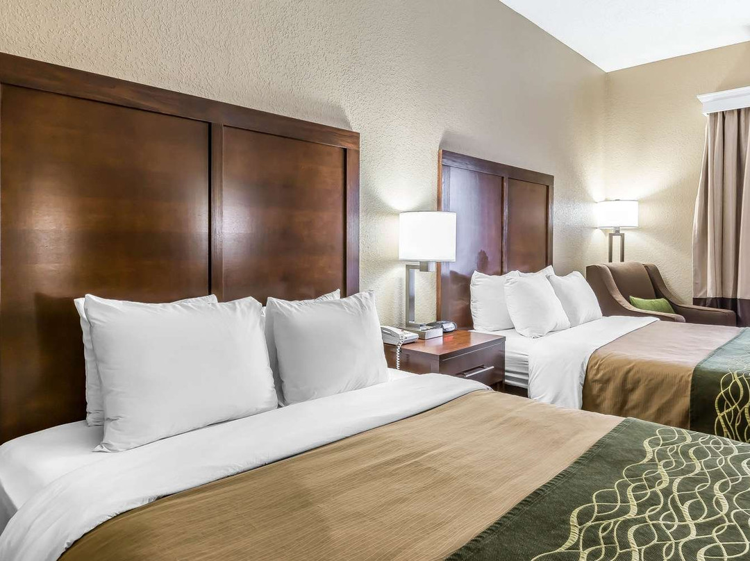 Comfort Inn South主图