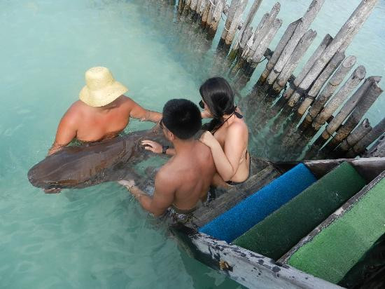 Cancun Boats-坎昆必去景点