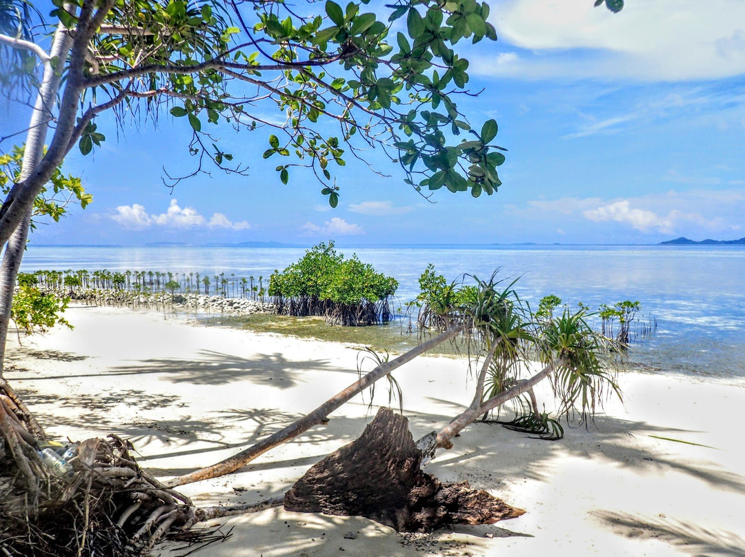 Pulau Pef旅游攻略图片