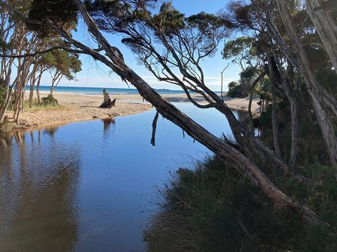 Sisters Beach-Sisters Beach必去景点