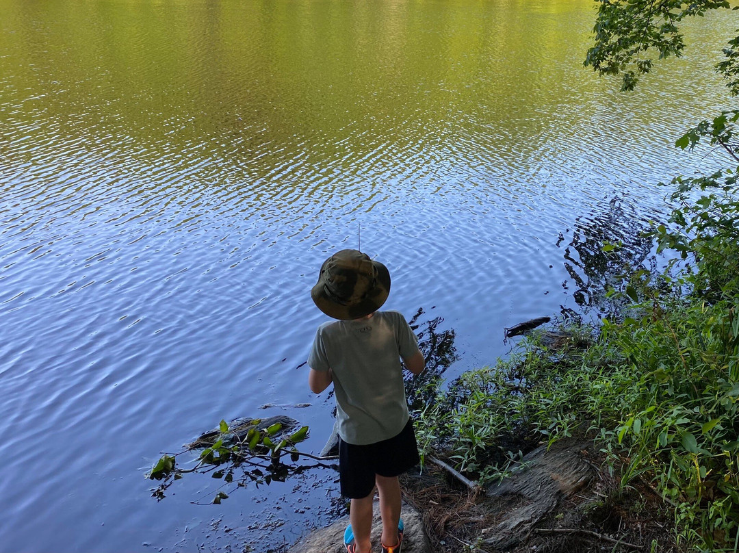 Shelton Lakes Recreation Path景点图片