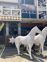 Alive 3D Art Gallery-波德申必去景点