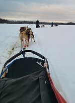 White Wolf Dog Sled Trips-伊利必去景点