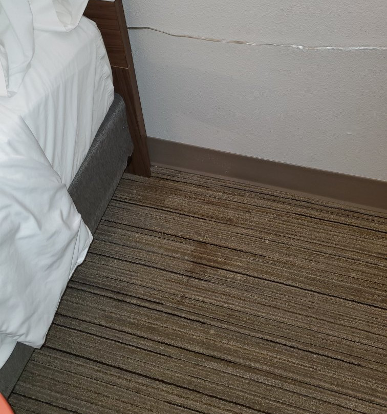 Holiday Inn Express & Suites Scottsburg by IHG主图