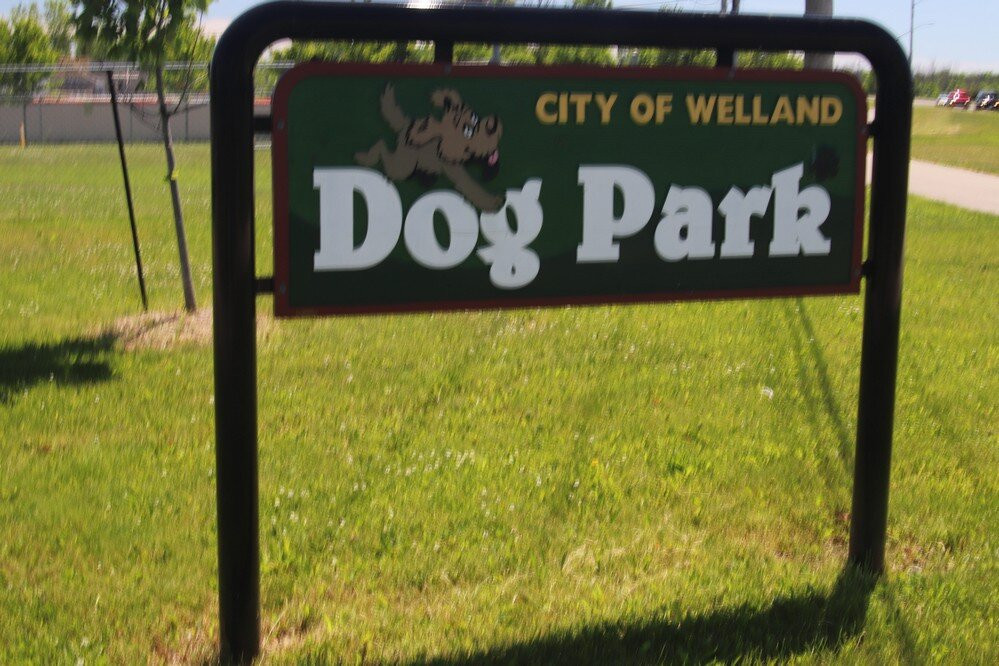 Welland Dog Park景点图片