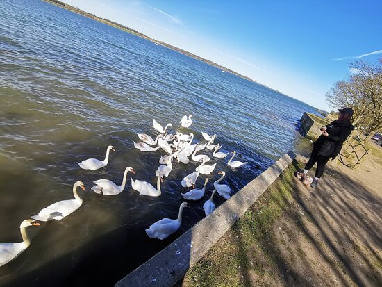 The Walls, Mistley Towers景点图片