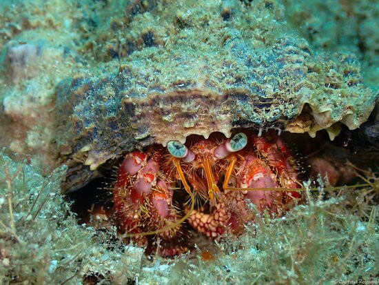 Letifish-Aventure-Pointe-Noire必去景点