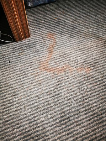 Travelodge London Walthamstow Hotel主图