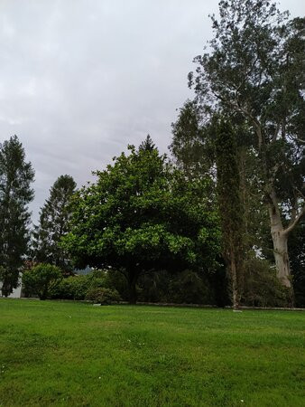 Pazo de Marinan景点图片