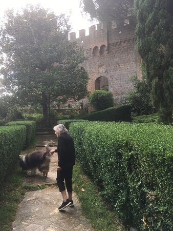 Castello di Proceno景点图片