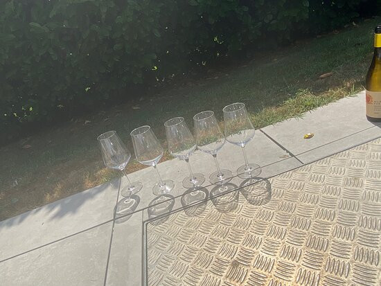 A Mira 'd Novel主图