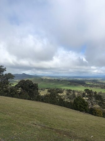 One Tree Hill Lookout-亚拉拉特山必去景点