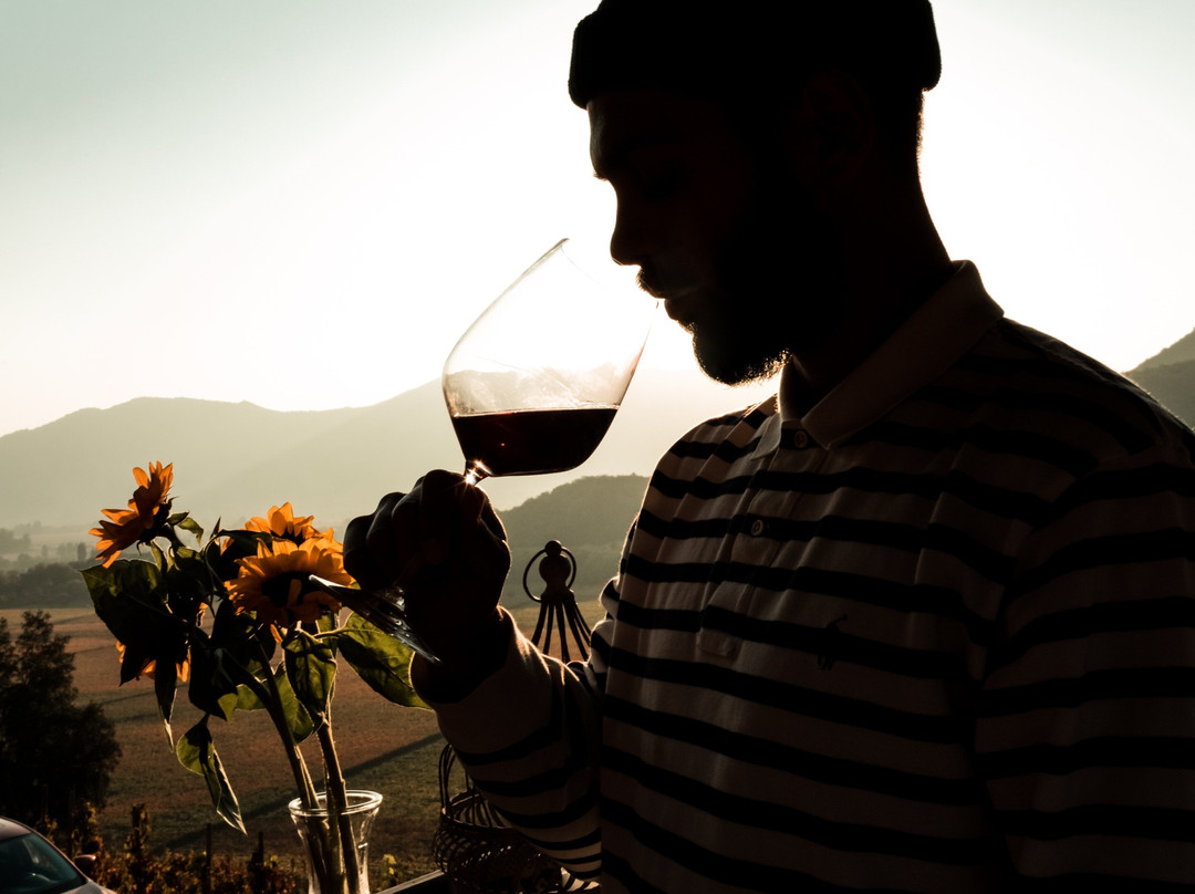 Viña Ventisquero - Mirador La Roblería-圣克鲁斯必去景点