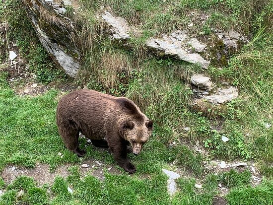 Der wilde Berg-Mautern in Steiermark必去景点