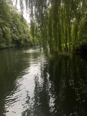 Norfolk Paddle Boards-诺威奇必去景点
