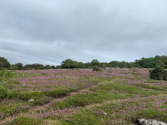 Minions, Hurlers and Cheesewring circular walk-利斯卡德必去景点