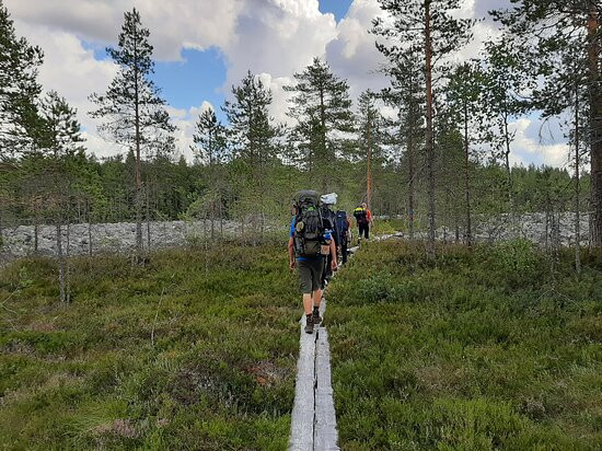 Taiga Times-赫尔辛基必去景点