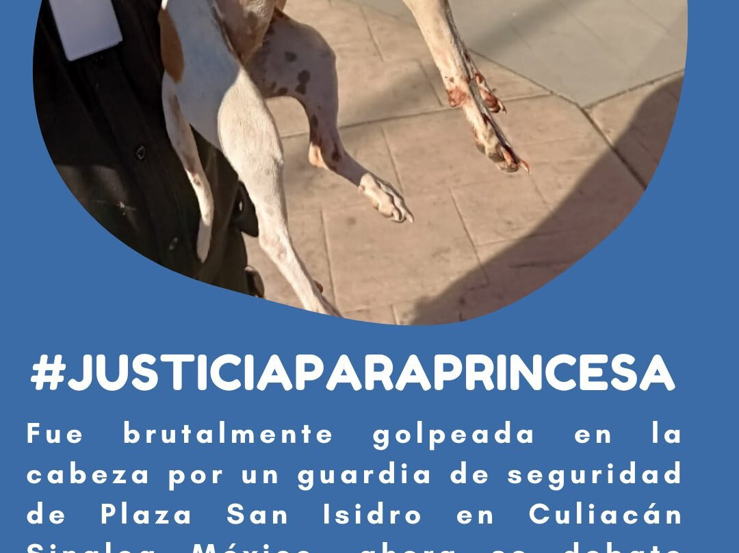 Plaza Paseo San Isidro