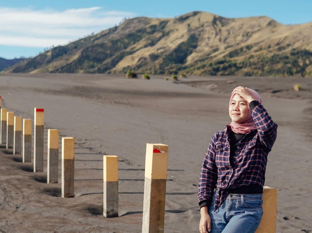 Bromo Project景点图片