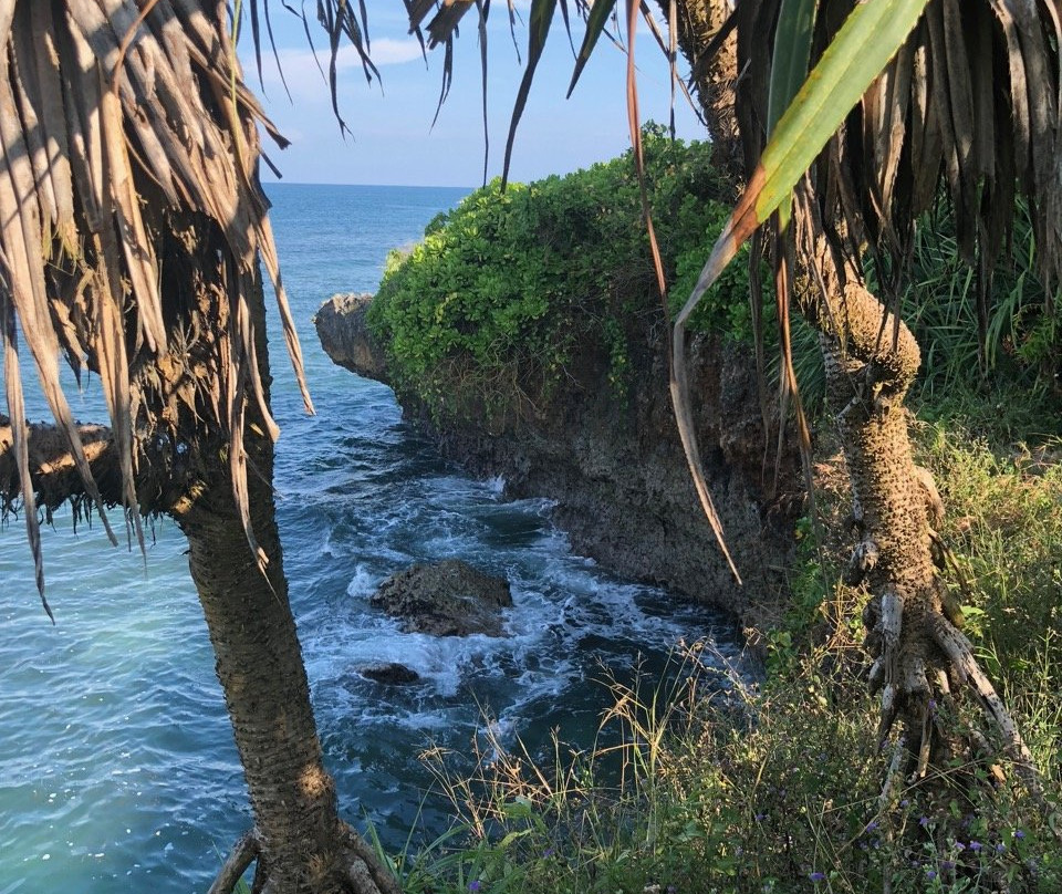 Pulau Nusa Dharma景点图片