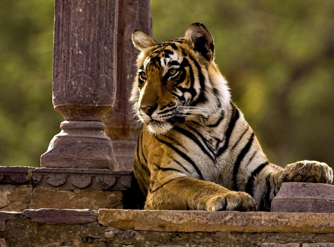 Unseen Tours and Travels-瑟瓦伊马托布尔必去景点