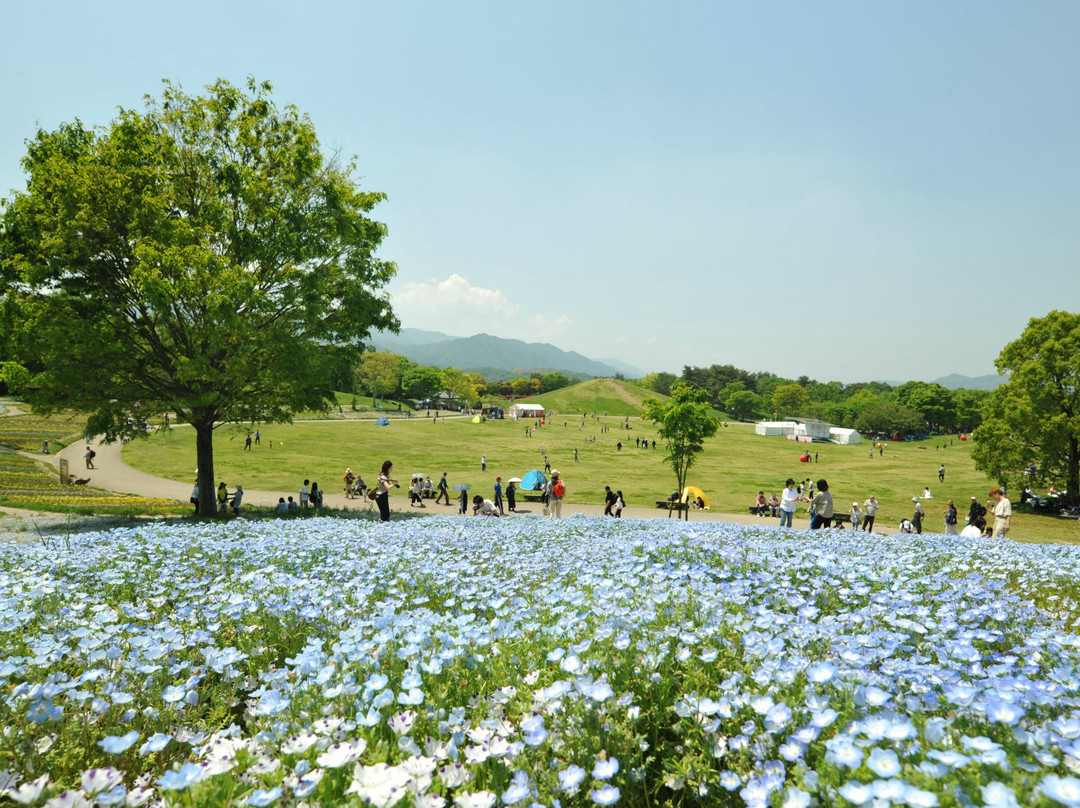 Sanuki Manno Park-满浓町必去景点
