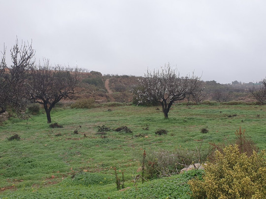 Molino Viejo De Zabala