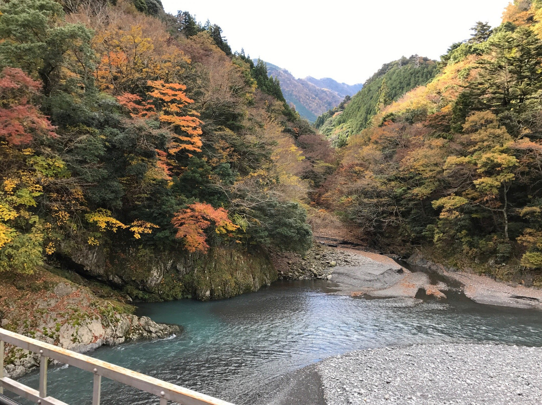 岛田市旅游攻略图片