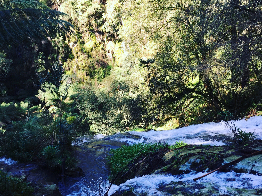 Tarra Falls-Tarra Valley必去景点