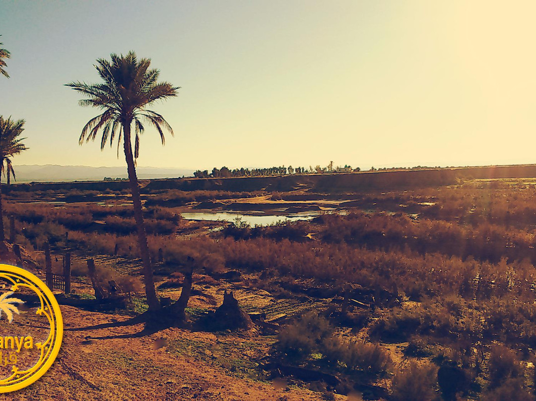 Diyala Province旅游攻略图片