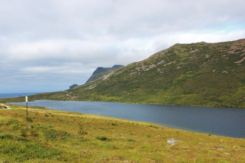Trehyrnvatnet