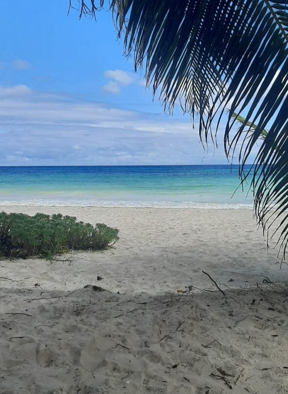 Almaplena Boutique Hotel主图