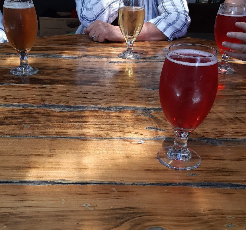 Moa Brewing Company-布伦海姆必去景点