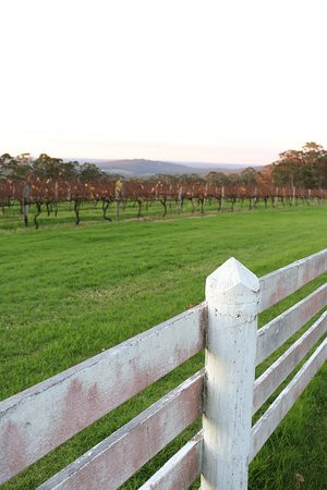 Castelli Estate主图