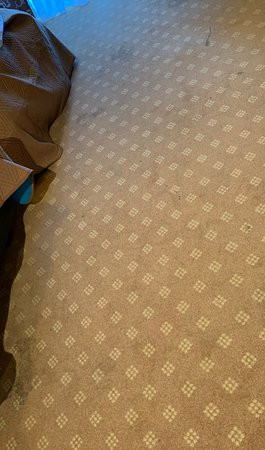 Tripoli City Hotel主图