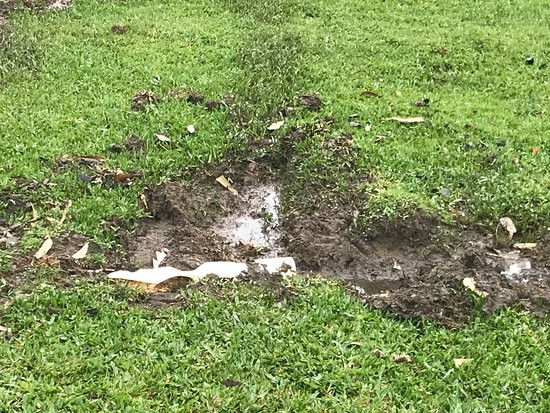 Ecologic Garden Hotel Fazenda主图