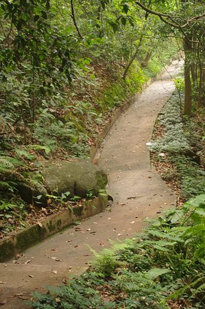 帽峰山森林公园-广州市必去景点