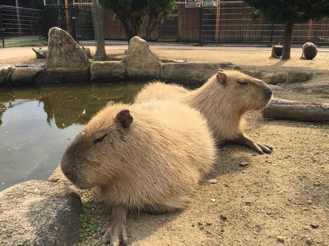 Ako Kaihin Park Dobutsu Fureai Mura