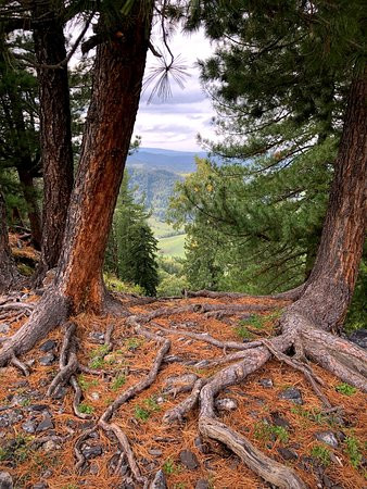 Cosmos Collection Altay Resort主图