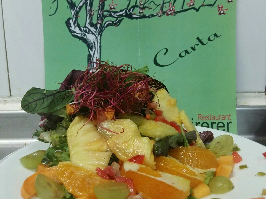 托雷利亚斯-德略布雷加特餐馆和美食-Restaurant El Cirerer