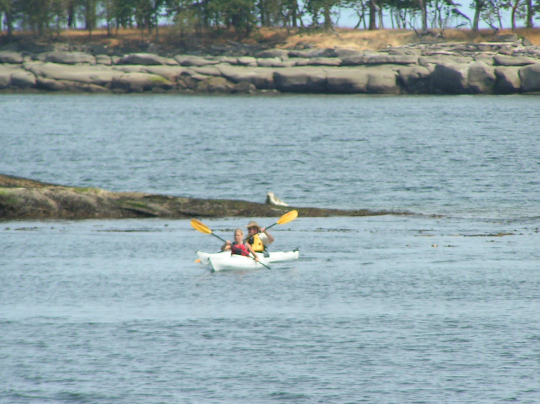 Adventure West Sailing