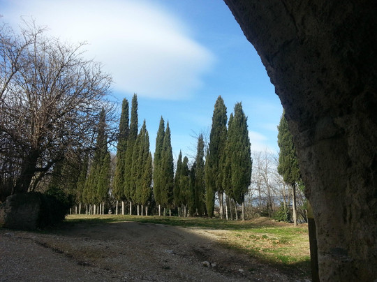 La Roque-d'Antheron旅游攻略图片