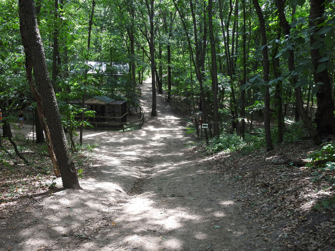 Howell旅游攻略图片