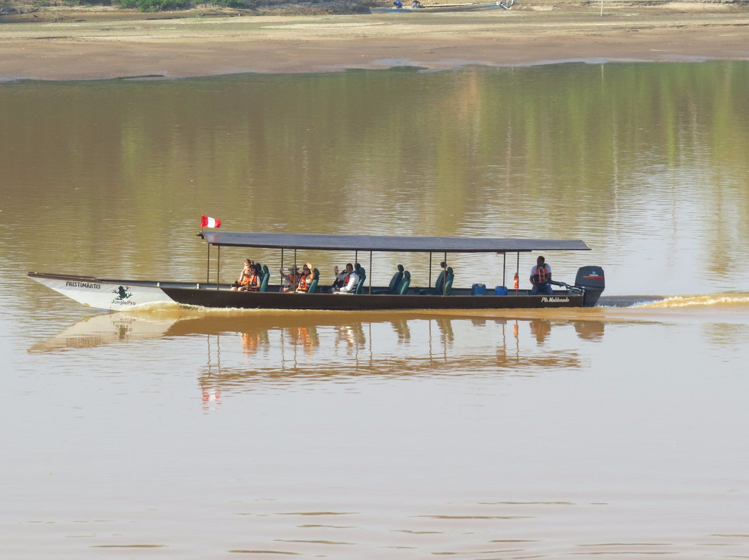 JunglePro-马尔多纳多港必去景点