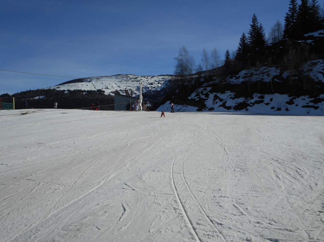 Station de Ski Mont D'Olmes景点图片