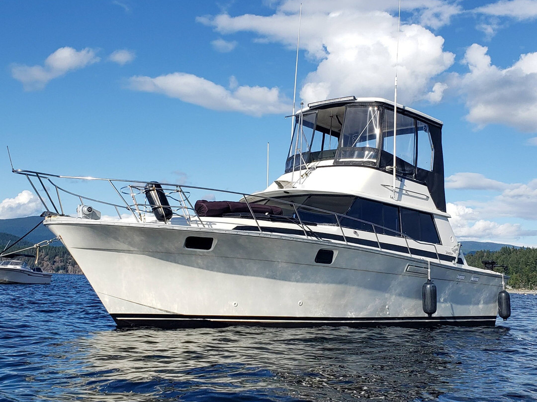 Savary Island Yacht Tours-Savary Island必去景点