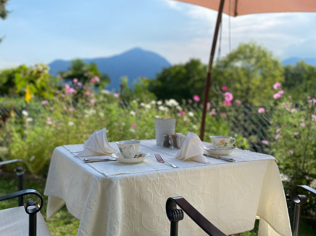 Hotel Villa Carona主图