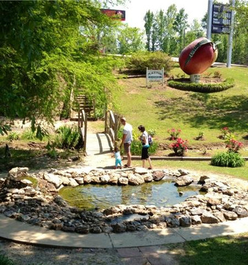 Maplesville旅游景点-Peach Park