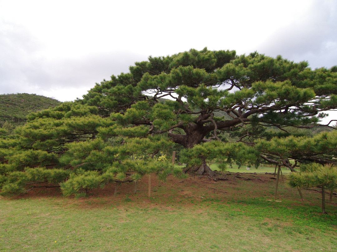 伊平屋村旅游攻略图片