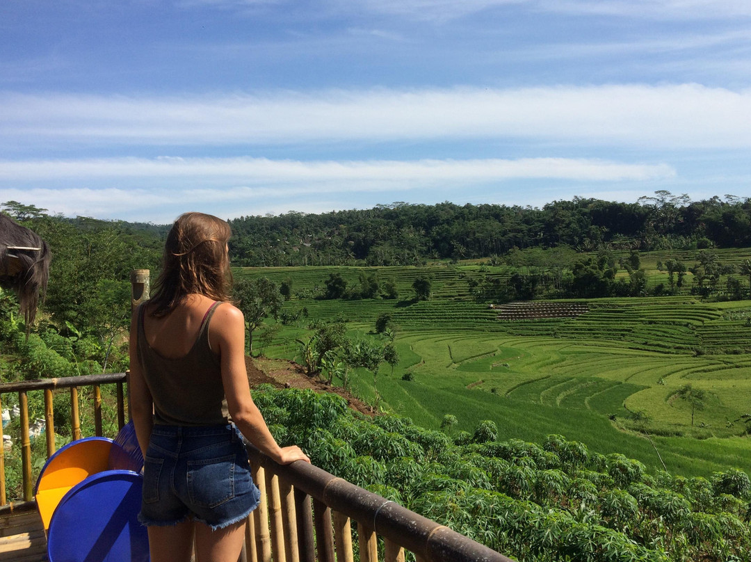 Jaker Tour Borobudur-Borobudur必去景点